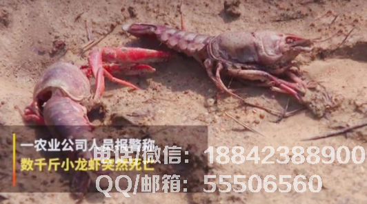 6369351390973345209110778.png